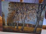 schilderij huis met laan bomen. h; van reck.prijsdaling., Antiek en Kunst, Ophalen