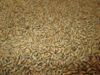 triticale graan, Zakelijke goederen, Ophalen