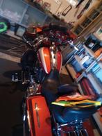 Harley-Davidson, Particulier