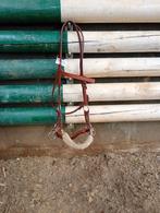 Bitloos hoofdstel leder, Dieren en Toebehoren, Ophalen of Verzenden, Zo goed als nieuw