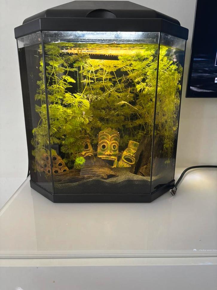 Aqaurim 20 liter, Dieren en Toebehoren, Vissen | Aquaria en Toebehoren, Zo goed als nieuw, Ophalen