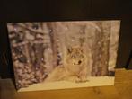 Led verlichte wolf canvas op houten frame sneeuw kerst dier, Ophalen of Verzenden, Zo goed als nieuw, Foto of Poster, Minder dan 50 cm