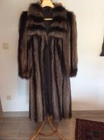 marmottenbontjas, Kleding | Dames, Jassen | Winter, Ophalen of Verzenden, Zo goed als nieuw, Maat 42/44 (L), Bruin