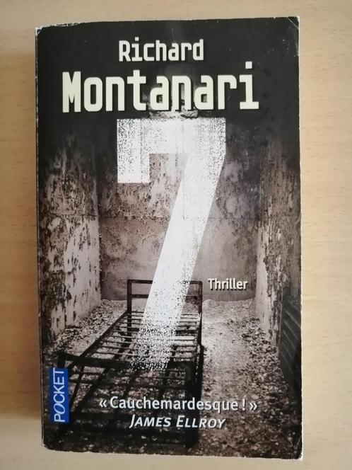 Sept de Richard Montanari, Boeken, Thrillers, Ophalen of Verzenden