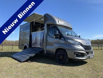 Iveco Daily 2-paards paardenvrachtwagen XXL 3.0l 180PK Autom, Gebruikt, Overige typen
