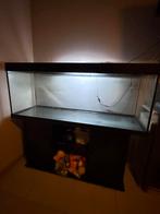Aquarium 150x 50 x 50cm, Dieren en Toebehoren, Ophalen, Gebruikt, Leeg aquarium