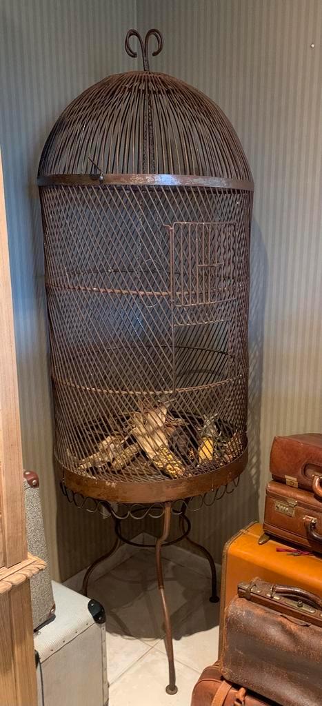 belle cage à oiseaux ancienne en fer forgé., Jardin & Terrasse, Foyers de jardin, Comme neuf, Enlèvement