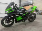 Kawasaki 300 NINJA - 2017, Motos, Motos | Kawasaki, Autre, Entreprise