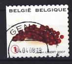 Belg. 2007 - nr 3687, Timbres & Monnaies, Timbres | Europe | Belgique, Envoi, Oblitéré