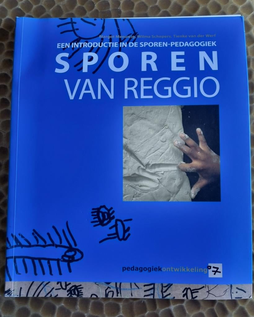 W. Schepens - Sporen van Reggio, Livres, Livres Autre, Enlèvement ou Envoi