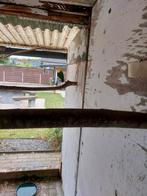 Roest kop caqic, Dieren en Toebehoren, Vogels | Parkieten en Papegaaien