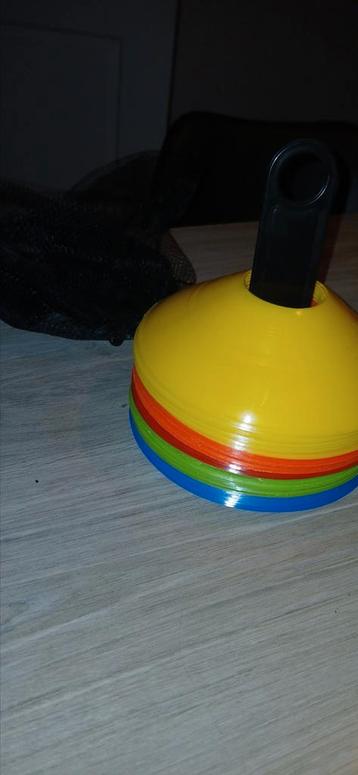 50 pionnen beschikbaar voor biedingen