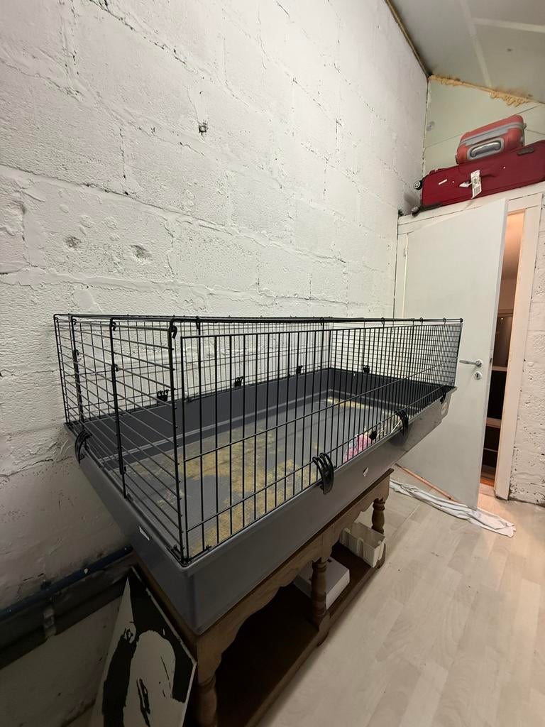 Grote knaagdierkooi, Enlèvement, Utilisé, Cage