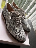 Veterschoenen Kickers ~ nieuw!, Overige kleuren, Nieuw, Ophalen of Verzenden, Kickers