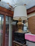 Grote lampedaer, Ophalen of Verzenden