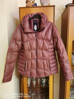 Kort bordeaux jasje maat 44, Overige kleuren, Yessica, Maat 42/44 (L), Ophalen of Verzenden