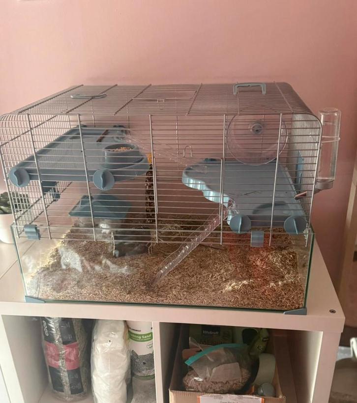 Hamsterkooi 58,50x39x39, Dieren en Toebehoren, Knaagdieren, Vrouwelijk, Hamster, April, Tam