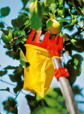Cueille-fruits sur manche telescopique Wolf Garten beschikbaar voor biedingen