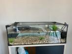 Terrarium waterschildpad, Ophalen, Nieuw, Terrarium of Paludarium