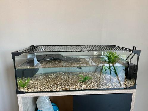 Terrarium waterschildpad, Dieren en Toebehoren, Reptielen en Amfibieën | Toebehoren, Nieuw, Terrarium of Paludarium, Ophalen
