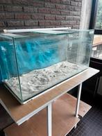 Grote glazen bak, Dieren en Toebehoren, Ophalen, Gebruikt