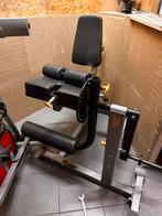 Seated leg extension & Flexion curl  Holstfitness, Ophalen, Gebruikt, Benen, Fitnessbank