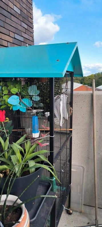 Vogel  kooi  beschikbaar voor biedingen