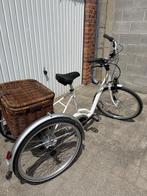 Elektrische fiets driewieler, Fietsen en Brommers, Fietsen | Driewielers, Ophalen, Nieuw, Tri-bike