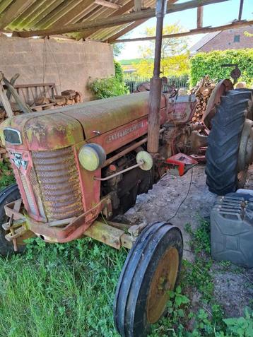 tracteur beschikbaar voor biedingen