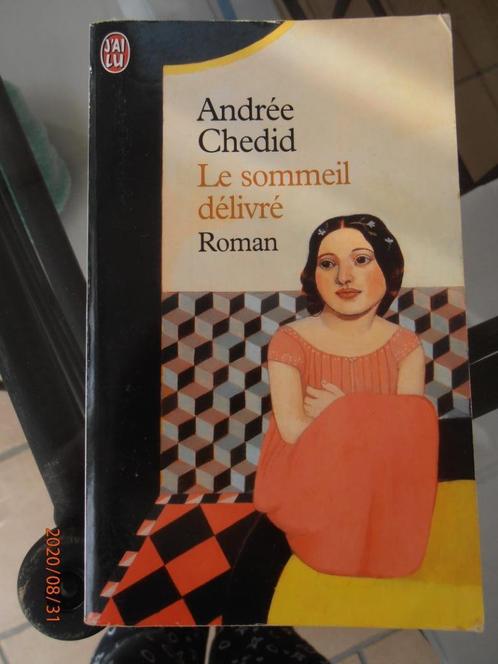 Livre "Le sommeil délivré" A. CHEDID – J'AI LU (2003), Boeken, Romans, Gelezen, Ophalen of Verzenden