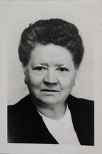 Bidprentje Diest mevr. Mees, Ophalen of Verzenden, Bidprentje