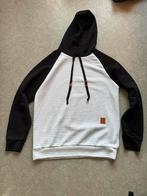 Trui medium, Kleding | Heren, Truien en Vesten, Ophalen of Verzenden, Zo goed als nieuw