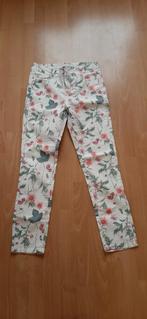 Gebloemde broek Lola en Liza maat 36, Ophalen of Verzenden, Zo goed als nieuw, Maat 36 (S)