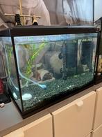 Aquarium comme neuf, Enlèvement ou Envoi, Comme neuf, Aquarium vide