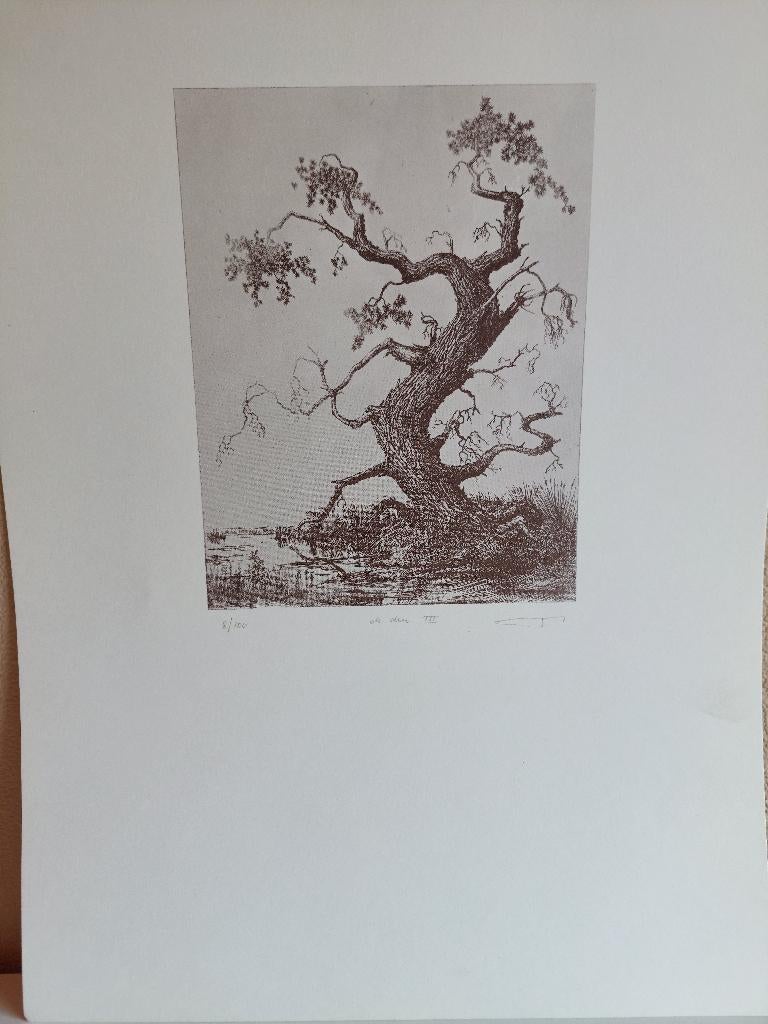 Gesigneerde Ets "De den III" – V. Buys (8/100), Antiek en Kunst, Kunst | Etsen en Gravures, Ophalen