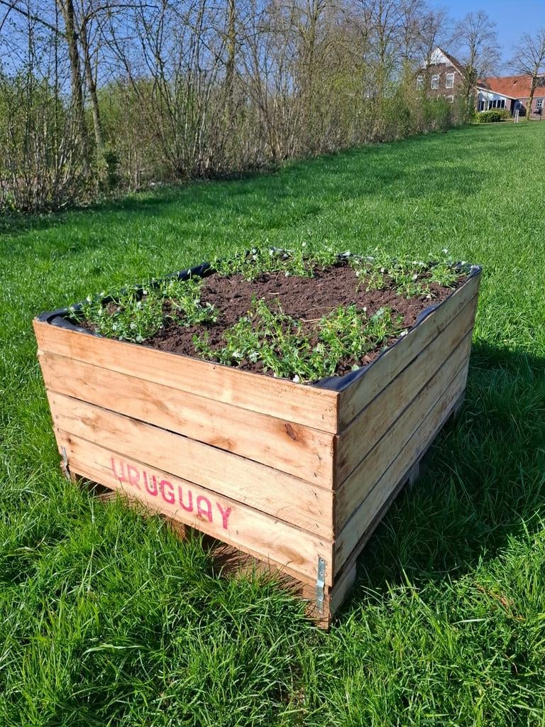 Houten plantenbak / moestuinbak – uniek en duurzaam, Ophalen of Verzenden, Tuin