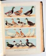 Dictionnaire Pratique de l’Agriculture moderne 1920 Sagnier, Ophalen of Verzenden