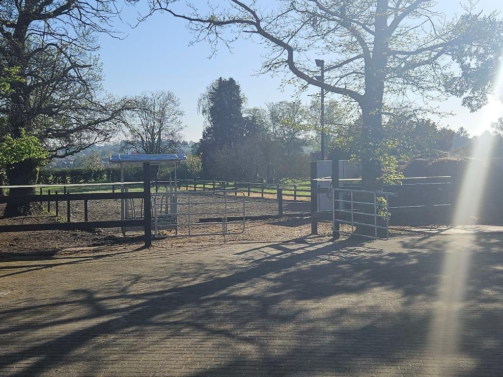 Pensionstalling regio Leuven/Oud-heverlee, Dieren en Toebehoren, Stalling en Weidegang, Weidegang, 4 paarden of pony's of meer