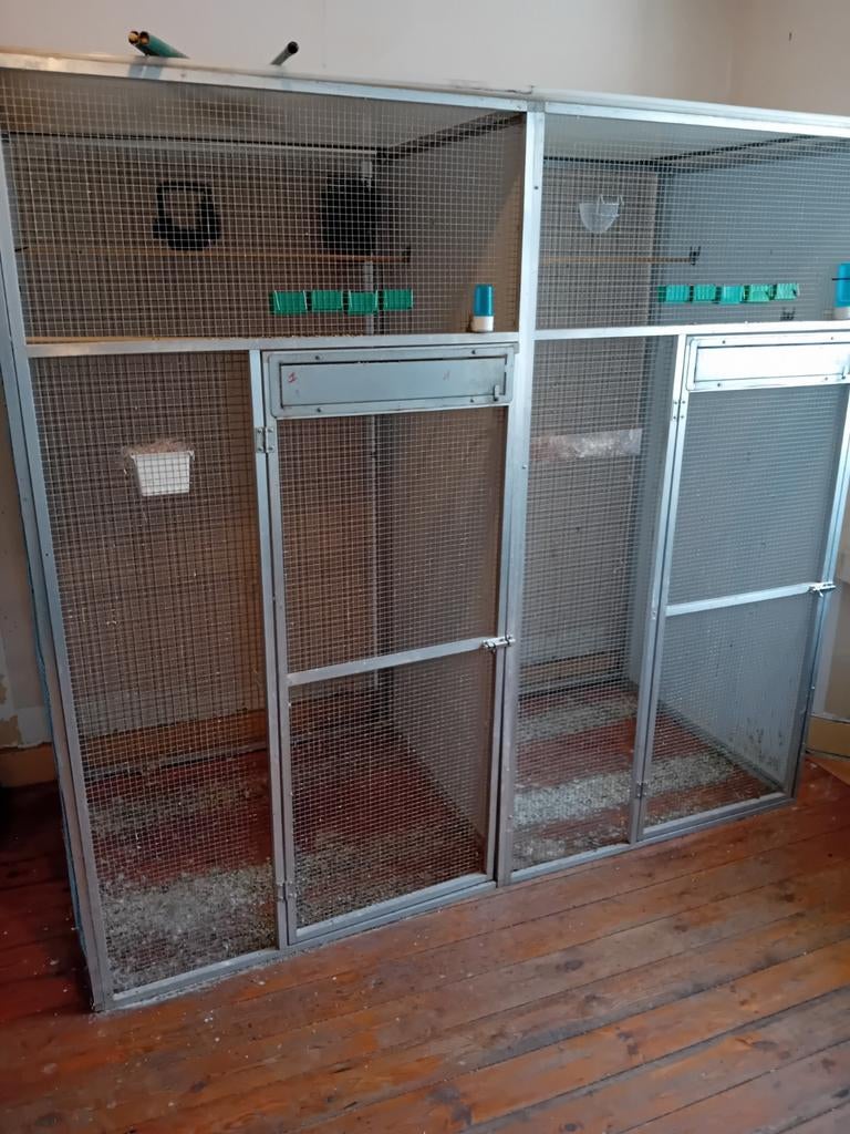 Voliere 2 x 2 x1 zijn 7 panelen, Animaux & Accessoires, Oiseaux | Oiseaux Autre