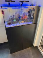 Waterbox 50.3 compleet met levende haven, Dieren en Toebehoren, Ophalen, Zo goed als nieuw