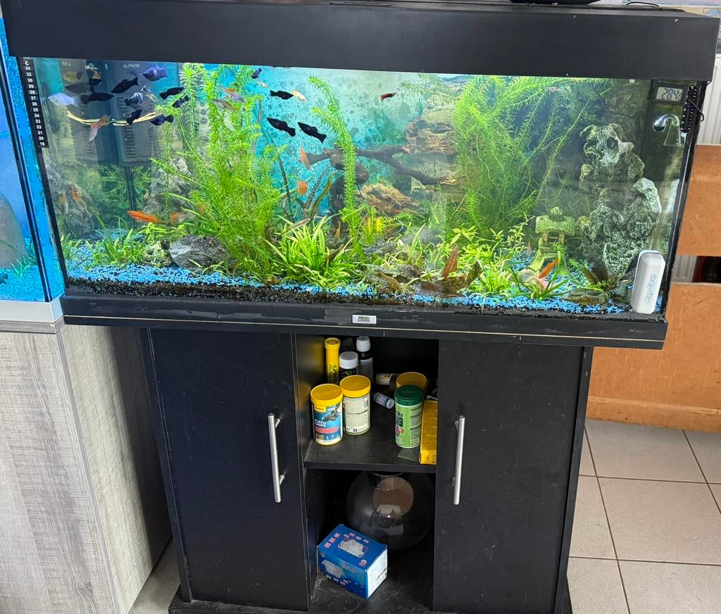 2 Aquariums Juwel volledig compleet + vissen, Dieren en Toebehoren, Ophalen, Decoratie, Pomp, Zo goed als nieuw