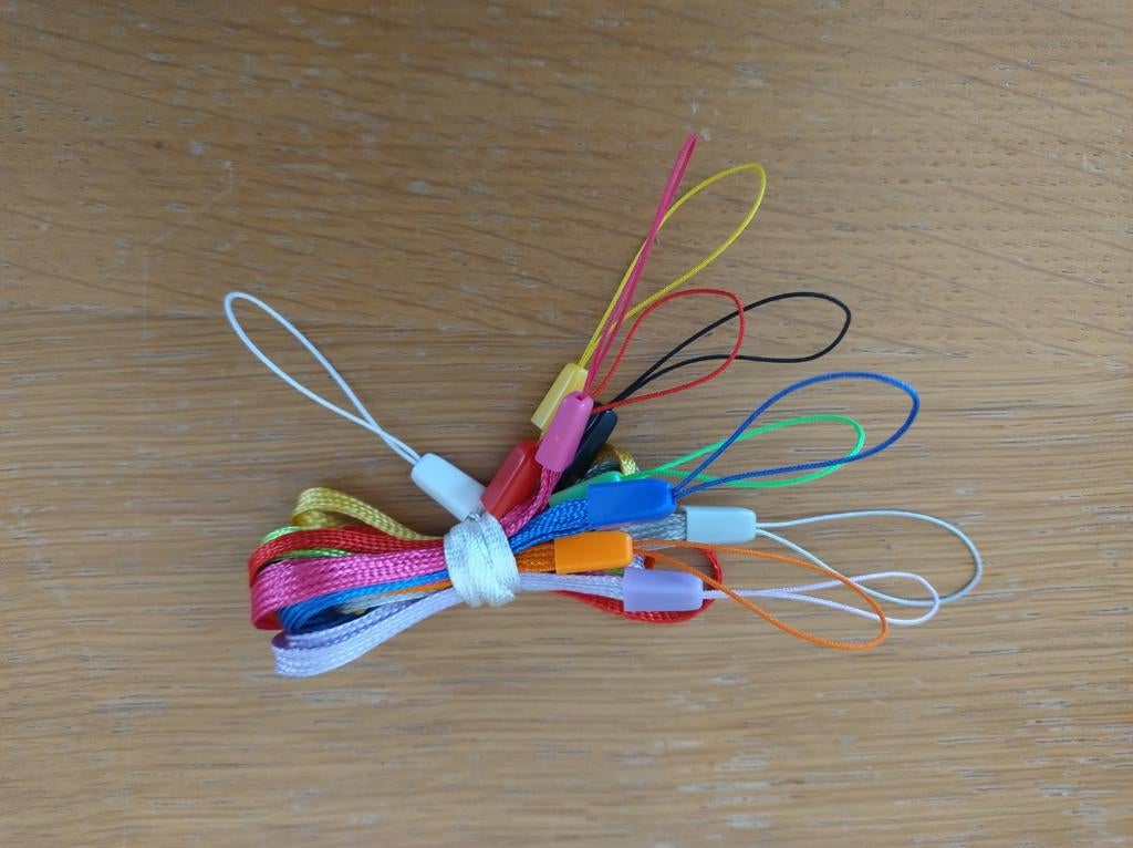 Dragonnes (pour clés USB), Enlèvement