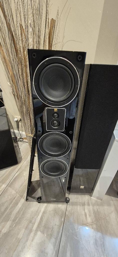 Enceintes magnat, Enlèvement, Magnat