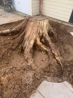 bois de chauffage, Jardin & Terrasse, Bois de chauffage, Moins de 3 m³, Enlèvement, Chêne, Troncs d'arbres