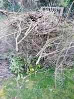 Gratis. Fijn hout. Gratis, Ophalen