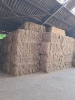 Grote balen hooi, Dieren en Toebehoren, Dierenvoeding, Ophalen