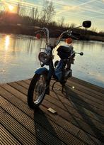 suzuki fa50 1988, Enlèvement