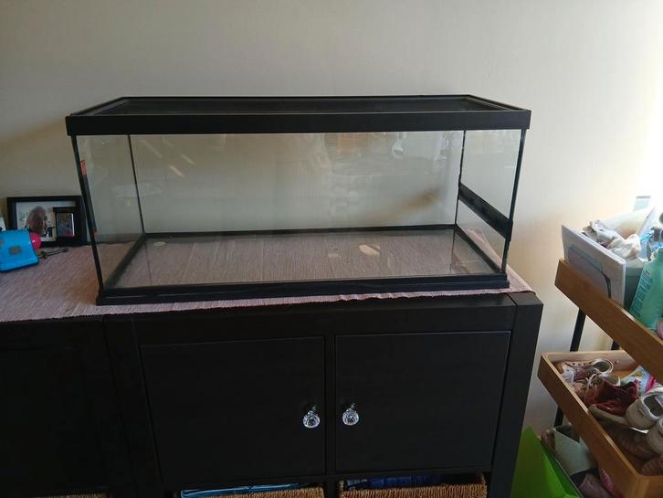 « Terrarium 75x30x30 — vente urgente », Animaux & Accessoires, Reptiles & Amphibiens | Accessoires, Enlèvement
