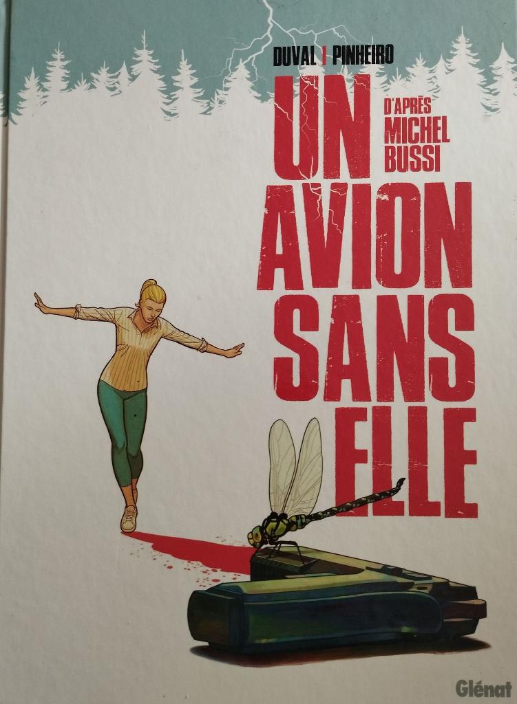 Un avion sans elle, Livres, BD, Utilisé, Une BD, Enlèvement ou Envoi