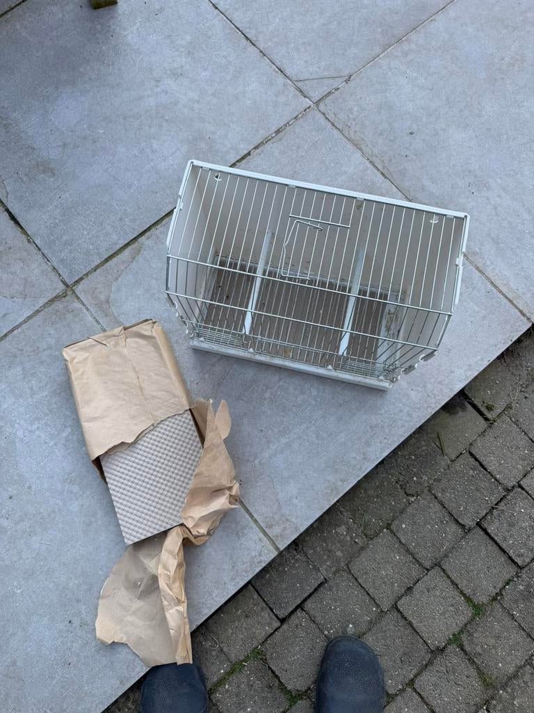 Transportkooi en papier, Dieren en Toebehoren, Ophalen of Verzenden, Zo goed als nieuw